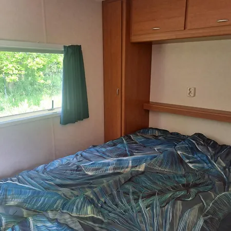 Wilcza 4 Niebieski * Ulinia